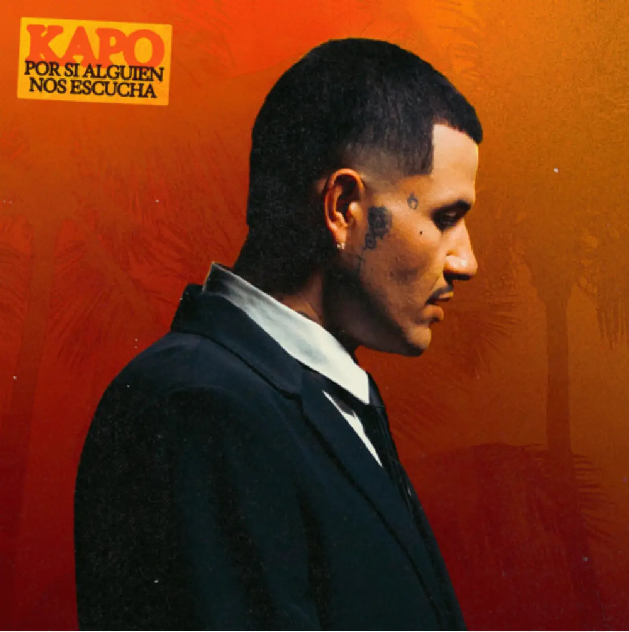 10450-tp8gc3mmkgzh5fxpycu9ce6b