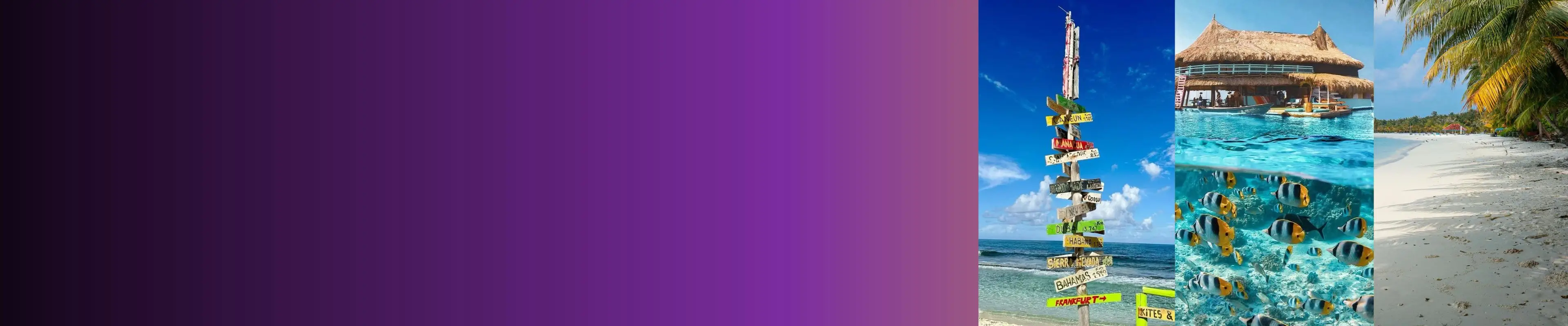 14996-u7mbhxg0o9tqfokfkqk1w7re