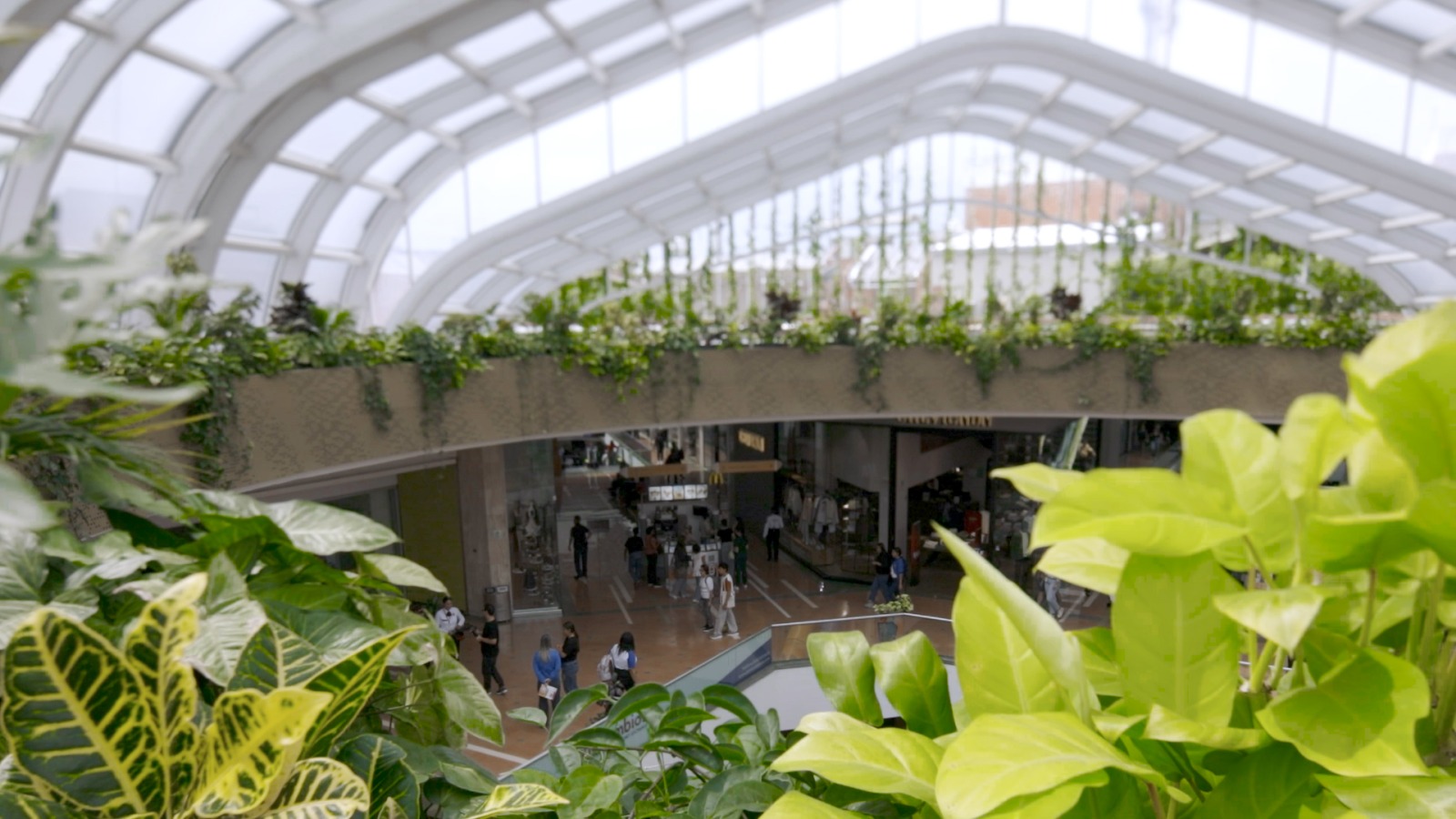 WhatsApp Image 2026-03-12 at 14.33.12.jpeg