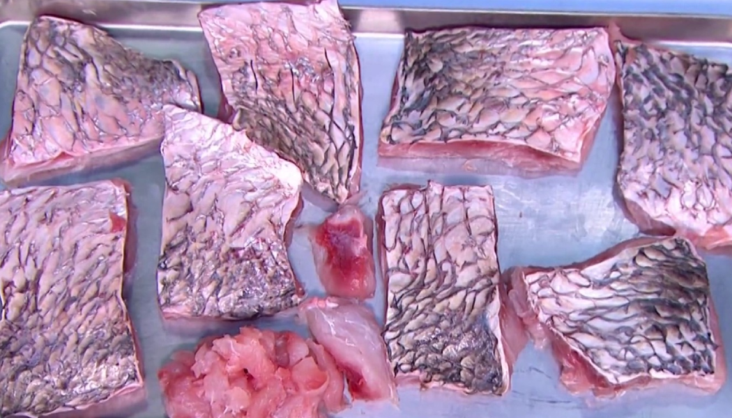 Cómo filetear un pescado paso a paso